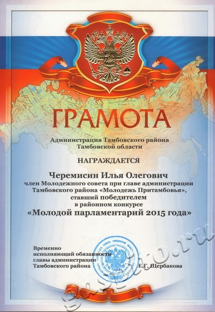 Подробнее о статье Поздравляем Черемисина Илью Олеговича с победой в районном конкурсе «Молодой парламентарий 2015 года»