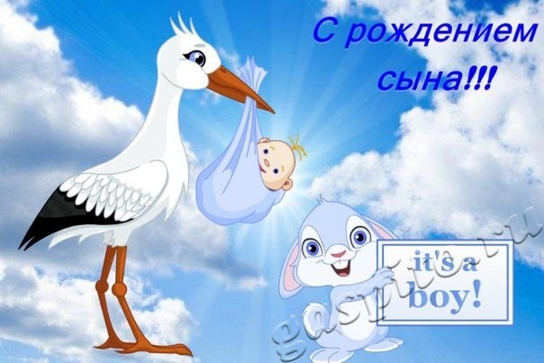 Подробнее о статье Поздравляем с рождением сына!