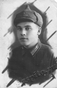 Подробнее о статье Виноградов Иван Степанович (Ед.хр. 1804)