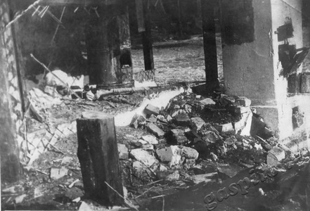 Подробнее о статье Николаев Евгений Андрианович (Ед.хр. 1873)