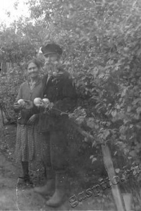 Подробнее о статье Юрлов Трофим Федорович (Ед.хр. 915)