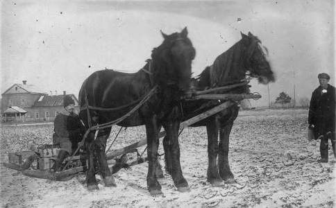 Подробнее о статье Гаврелюк Терентий Яковлевич (Ед.хр. 1067)