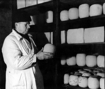 Подробнее о статье Григоренко Б.Ф. (Ед.хр. 1096)