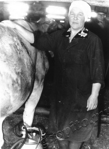 Подробнее о статье Гуменюк Анна Гавриловна (Ед.хр. 1102)