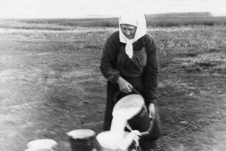 Подробнее о статье Дворяшина Евдокия Яковлевна (Ед.хр. 1107)