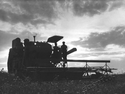 Подробнее о статье Ермаков Андрей Петрович (Ед.хр. 1134)