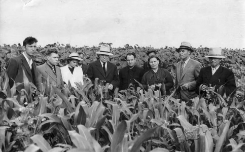 Подробнее о статье Золотухин Григорий Сергеевич (Ед.хр. 1171)