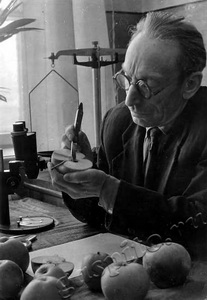 Подробнее о статье Кацейко Аркадий Иванович (Ед.хр. 1195)