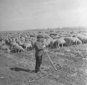 Подробнее о статье Климентов Михаил Алексеевич (Ед.хр. 1199)