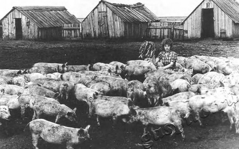 Подробнее о статье Латчина М.Д. (Ед.хр. 1265)