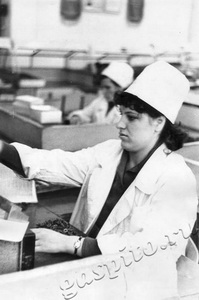 Подробнее о статье Лепихова Тамара Михайловна (Ед.хр. 1270)