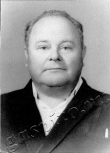 Подробнее о статье Мамонов Николай Григорьевич (Ед.хр. 1293)