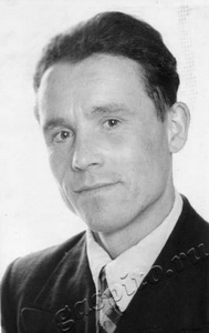 Подробнее о статье Михеев П.М. (Ед.хр. 1320)