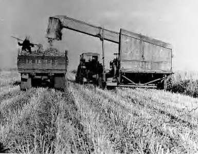 Подробнее о статье Никитин Владимир Алексеевич (Ед.хр. 1342)