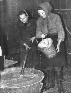 Подробнее о статье Прунцова Раиса Николаевна (Ед.хр. 1428)