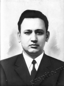 Подробнее о статье Синельников Г.Я. (Ед.хр. 1504)