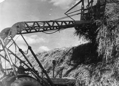 Подробнее о статье Тащилин Егор Антонович (Ед.хр. 1547)