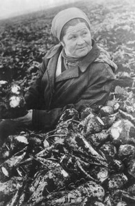 Подробнее о статье Тетерева Зинаида Петровна (Ед.хр. 1553)