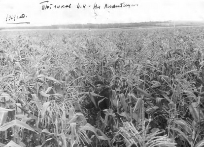 Подробнее о статье Тютинков И.И. (Ед.хр. 1575)