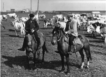 Подробнее о статье Чекунов Иван Тихонович, Фетисов А.И. (Ед.хр. 1611)