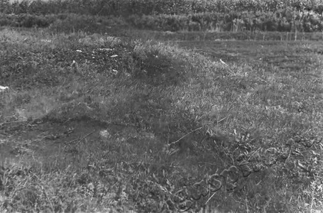 Подробнее о статье Могила социалистов-революционеров Катина и Кузнецова (Ед.хр. 2131)