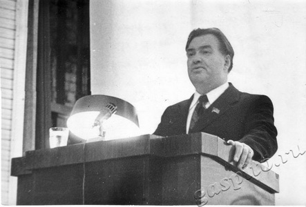 Подробнее о статье Встреча кандидата в депутаты Верховного Совета РСФСР, заведующего строительным отделом ЦК КПСС И.Н.Дмитриева (Ед.хр. 2321)