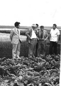 Подробнее о статье Пребывание партийной, профсоюзной и комсомольской делегаций из Венгерской Народной Республики (ВНР) в Тамбовской области (Ед.хр. 2429)