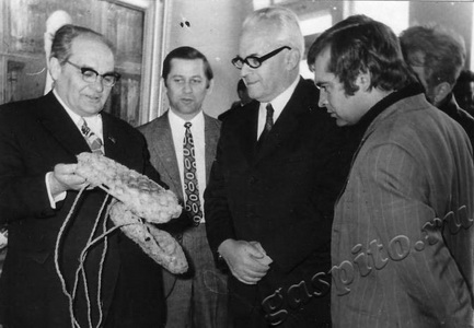 Подробнее о статье Венгерская делегация (Ед.хр. 2471)