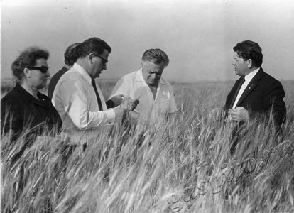 Подробнее о статье Посещение венгерской делегацией Жердевского района Тамбовской области (Ед.хр. 2480)