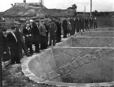 Подробнее о статье Участники семинара на экскурсии у силосных траншей (Ед.хр. 2538)