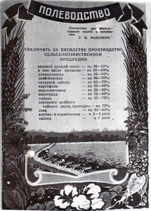 Подробнее о статье Плакат о развитии народного хозяйства СССР в пятой пятилетке (Ед.хр. 3029)