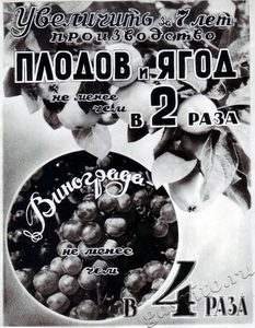 Подробнее о статье Плакат о развитии народного хозяйства СССР в 1958-1965 гг. (Ед.хр. 3044)