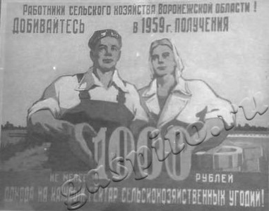 Подробнее о статье Плакат о развитии сельского хозяйства Воронежской области (Ед.хр. 3079)