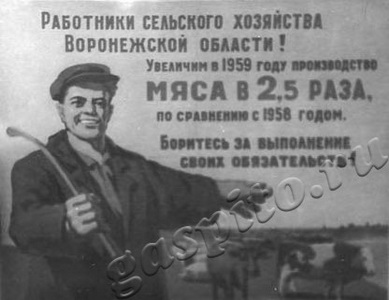 Подробнее о статье Плакат о развитии сельского хозяйства Воронежской области (Ед.хр. 3080)