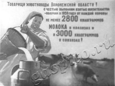 Подробнее о статье Плакат о развитии сельского хозяйства Воронежской области (Ед.хр. 3081)