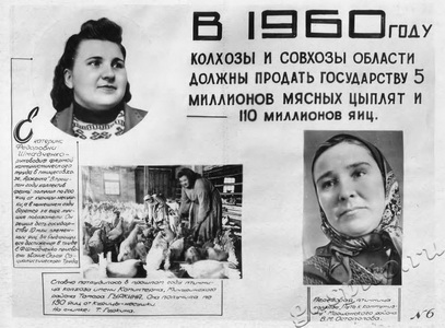 Подробнее о статье Информационный плакат (Ед.хр. 3088)