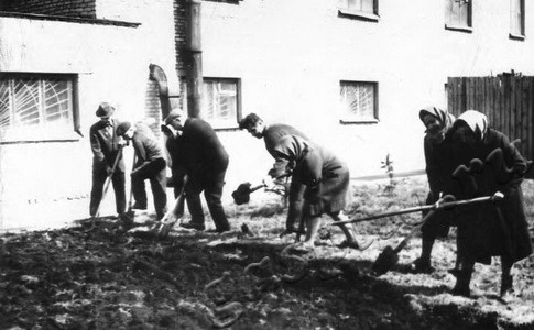 Подробнее о статье Рабочие завода «Ревтруд» на субботнике (Ед.хр. 3338)