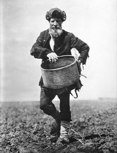 Подробнее о статье Коллективизация в Тамбовской губернии (Ед.хр. 3364)