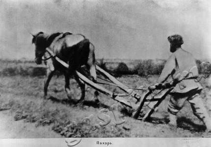 Подробнее о статье Коллективизация в Тамбовской губернии (Ед.хр. 3365)