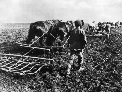 Подробнее о статье Коллективизация в Тамбовской губернии (Ед.хр. 3366)