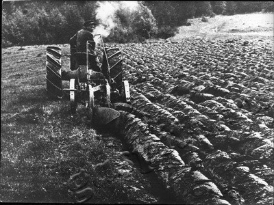 Подробнее о статье Коллективизация в Тамбовской губернии (Ед.хр. 3367)