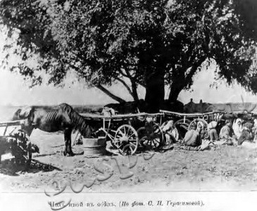 Подробнее о статье Коллективизация в Тамбовской губернии (Ед.хр. 3370)