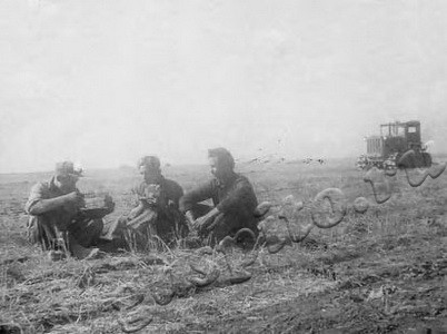 Подробнее о статье Участники освоения целинных и залежных земель (Ед.хр. 3392)