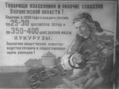 Подробнее о статье Наглядная агитация (плакат) по сельскому хозяйству Воронежской области (Ед.хр. 3401)