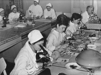 Подробнее о статье Тамбовская областная больница (Ед.хр. 3436)