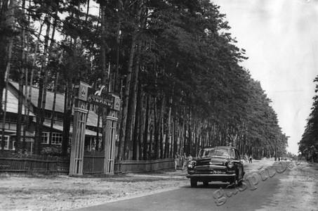 Подробнее о статье Пионерский лагерь «Чайка» (Ед.хр. 3513)