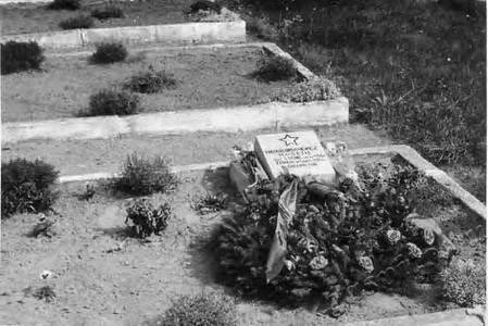 Подробнее о статье Могила советского летчика капитана Н.Г.Маркина на Влодивском кладбище (Ед.хр. 3664)