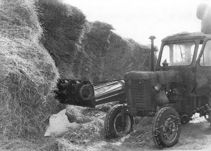 Подробнее о статье Заготовка фуража (Ед.хр. 3717)