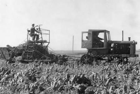 Подробнее о статье Уборка сахарной свеклы в Инжавинском районе (Ед.хр. 3762)