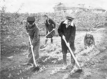 Подробнее о статье Учащиеся Инжавинской восьмилетней школы № 1 на уборке пришкольного участка (Ед.хр. 3768)